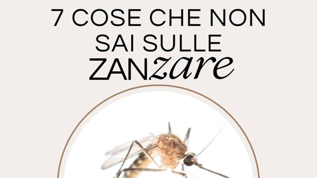 7 Cose che non sapevi sulle zanzare!