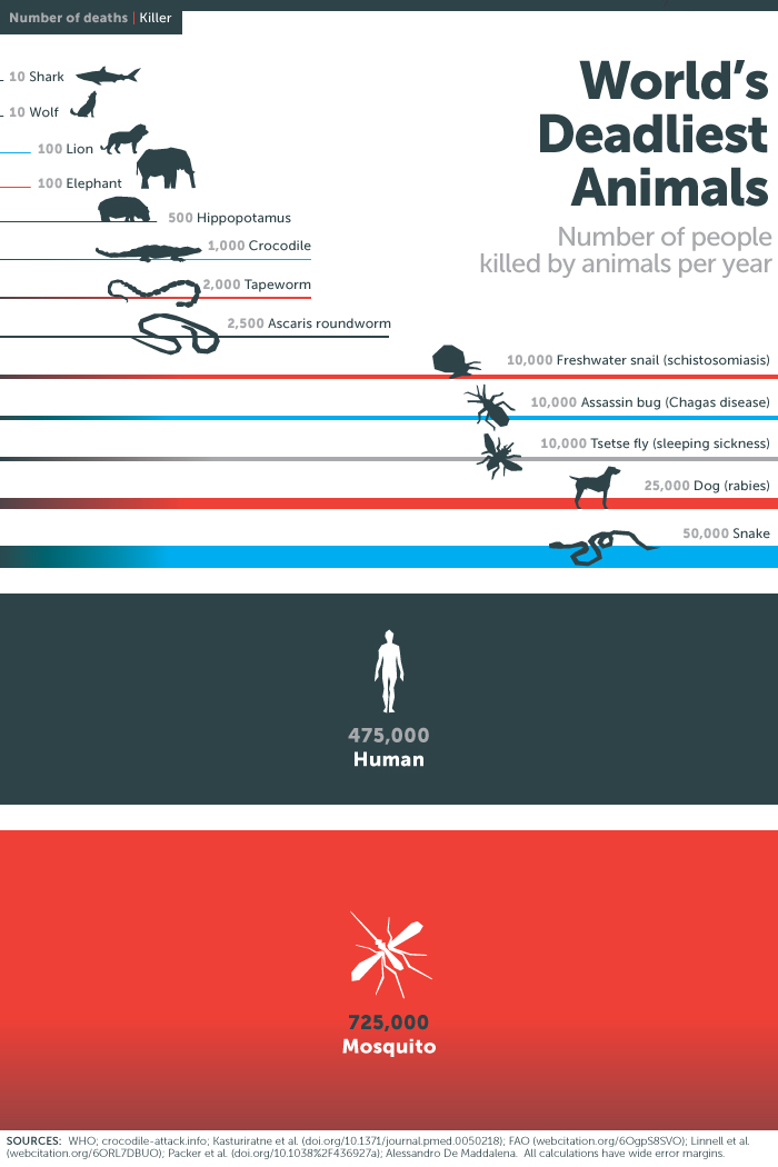Animali killer nel mondo