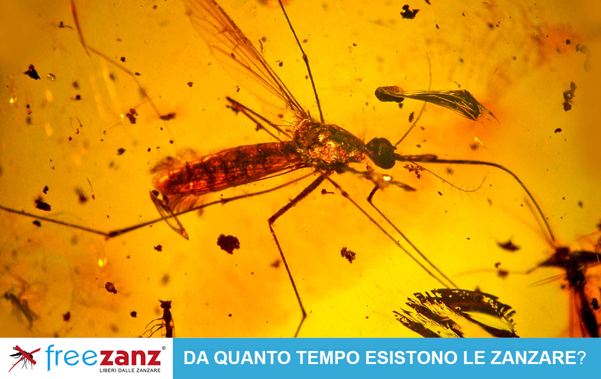 Da quanto tempo esistono le zanzare sulla terra?